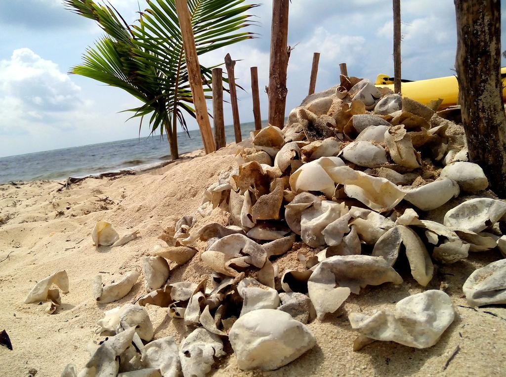 Mayan Beach Garden El Placer Dış mekan fotoğraf